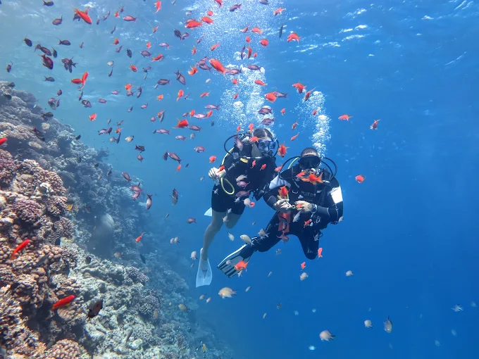Intro Diving scuba diving trip in Hurghada Red Sea Egypt for beginners and certified divers