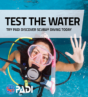 Padi discover scuba diving