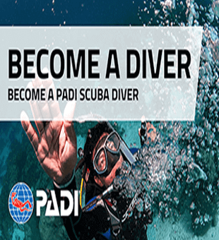 Padi scuba diver course