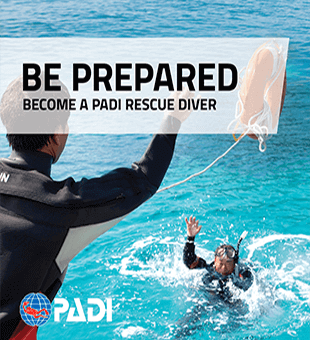 Padi scuba diver course