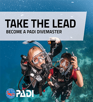 Padi scuba diver course