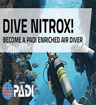 Padi scuba diver course