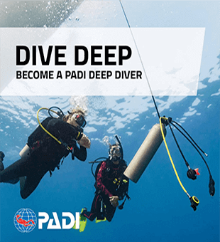 Padi scuba diver course