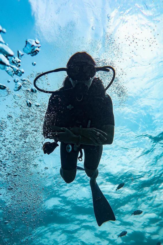 Diver looking to the camera